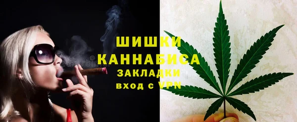ПСИЛОЦИБИНОВЫЕ ГРИБЫ Баксан