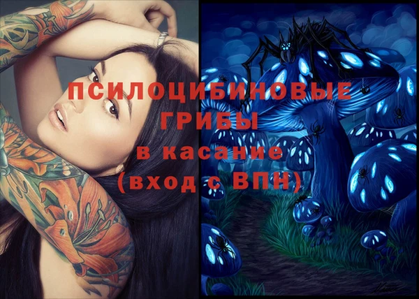 ПСИЛОЦИБИНОВЫЕ ГРИБЫ Баксан